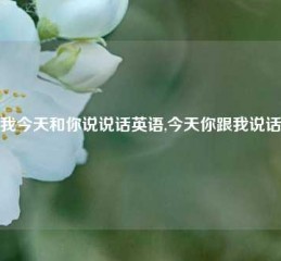 我今天和你说说话英语,今天你跟我说话