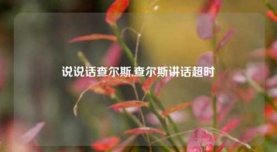 说说话查尔斯,查尔斯讲话超时