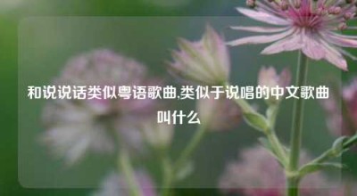 和说说话类似粤语歌曲,类似于说唱的中文歌曲叫什么