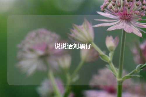 说说话刘黑仔-第1张图片-兔尾说说网