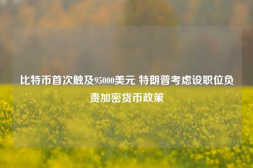 比特币首次触及95000美元 特朗普考虑设职位负责加密货币政策-第1张图片-兔尾说说网