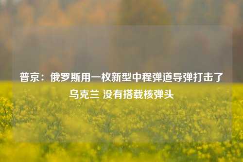 普京：俄罗斯用一枚新型中程弹道导弹打击了乌克兰 没有搭载核弹头-第1张图片-兔尾说说网