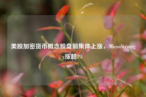 美股加密货币概念股盘前集体上涨，MicroStrategy涨超7%-第1张图片-兔尾说说网