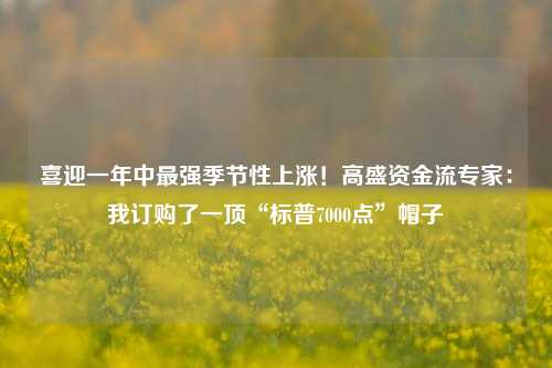 喜迎一年中最强季节性上涨！高盛资金流专家：我订购了一顶“标普7000点”帽子-第1张图片-兔尾说说网