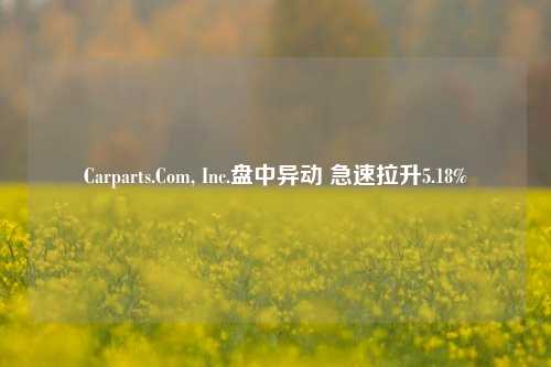 Carparts.Com, Inc.盘中异动 急速拉升5.18%-第1张图片-兔尾说说网