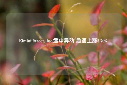 Rimini Street, Inc.盘中异动 急速上涨5.70%-第1张图片-兔尾说说网