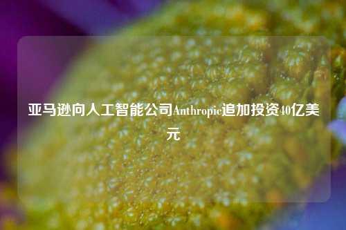 亚马逊向人工智能公司Anthropic追加投资40亿美元-第1张图片-兔尾说说网