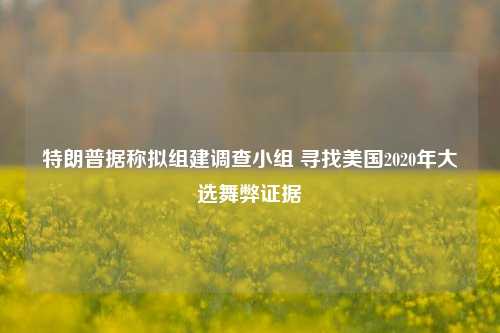 特朗普据称拟组建调查小组 寻找美国2020年大选舞弊证据-第1张图片-兔尾说说网