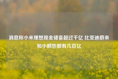 消息称小米理想现金储备超过千亿 比亚迪蔚来和小鹏也都有几百亿-第1张图片-兔尾说说网