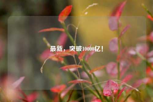 最新，突破10000亿！-第1张图片-兔尾说说网