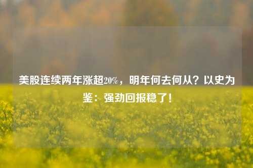 美股连续两年涨超20%，明年何去何从？以史为鉴：强劲回报稳了！-第1张图片-兔尾说说网