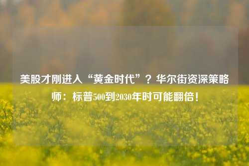 美股才刚进入“黄金时代”？华尔街资深策略师：标普500到2030年时可能翻倍！-第1张图片-兔尾说说网