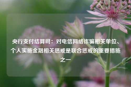 央行支付结算司：对电信网络诈骗相关单位、个人实施金融相关惩戒是联合惩戒的重要措施之一-第1张图片-兔尾说说网