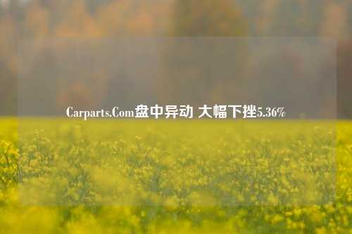 Carparts.Com盘中异动 大幅下挫5.36%-第1张图片-兔尾说说网