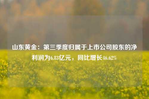 山东黄金：第三季度归属于上市公司股东的净利润为6.83亿元，同比增长46.62%-第1张图片-兔尾说说网