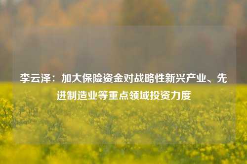 李云泽：加大保险资金对战略性新兴产业、先进制造业等重点领域投资力度-第1张图片-兔尾说说网