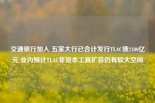 交通银行加入 五家大行已合计发行TLAC债2100亿元 业内预计TLAC非资本工具扩容仍有较大空间-第1张图片-兔尾说说网