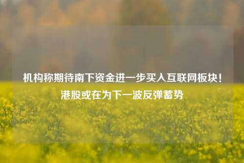 机构称期待南下资金进一步买入互联网板块！港股或在为下一波反弹蓄势-第1张图片-兔尾说说网