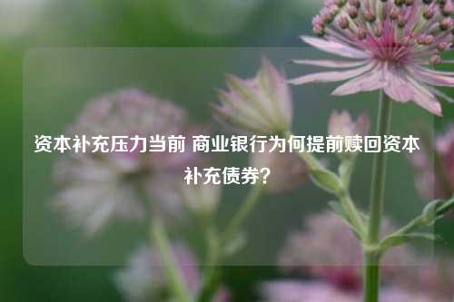 资本补充压力当前 商业银行为何提前赎回资本补充债券？-第1张图片-兔尾说说网