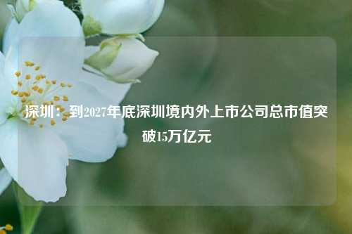 深圳：到2027年底深圳境内外上市公司总市值突破15万亿元-第1张图片-兔尾说说网