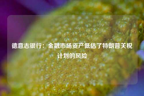 德意志银行：金融市场资产低估了特朗普关税计划的风险-第1张图片-兔尾说说网