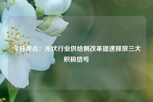 今日视点：光伏行业供给侧改革提速释放三大积极信号-第1张图片-兔尾说说网