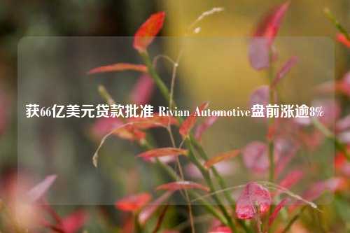 获66亿美元贷款批准 Rivian Automotive盘前涨逾8%-第1张图片-兔尾说说网