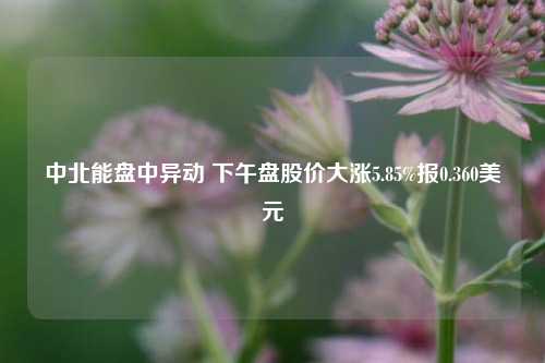 中北能盘中异动 下午盘股价大涨5.85%报0.360美元-第1张图片-兔尾说说网