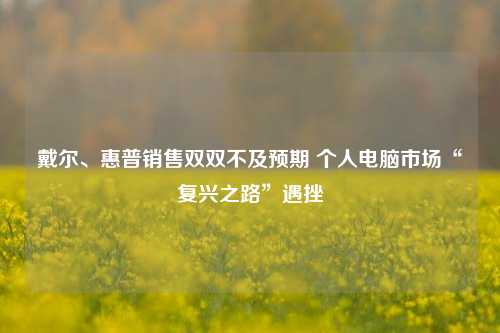 戴尔、惠普销售双双不及预期 个人电脑市场“复兴之路”遇挫-第1张图片-兔尾说说网