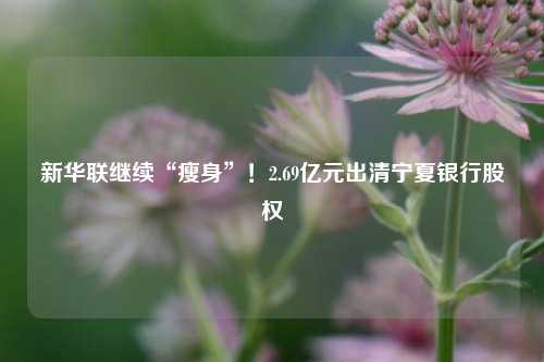 新华联继续“瘦身”！2.69亿元出清宁夏银行股权-第1张图片-兔尾说说网