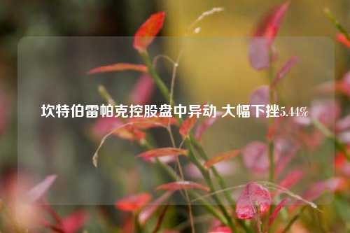 坎特伯雷帕克控股盘中异动 大幅下挫5.44%-第1张图片-兔尾说说网