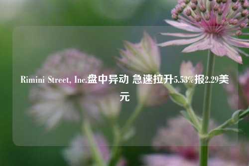 Rimini Street, Inc.盘中异动 急速拉升5.53%报2.29美元-第1张图片-兔尾说说网