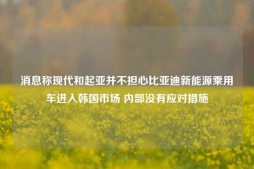 消息称现代和起亚并不担心比亚迪新能源乘用车进入韩国市场 内部没有应对措施-第1张图片-兔尾说说网