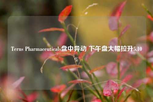 Terns Pharmaceuticals盘中异动 下午盘大幅拉升5.10%-第1张图片-兔尾说说网