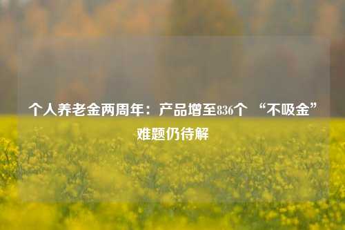 个人养老金两周年：产品增至836个 “不吸金”难题仍待解-第1张图片-兔尾说说网