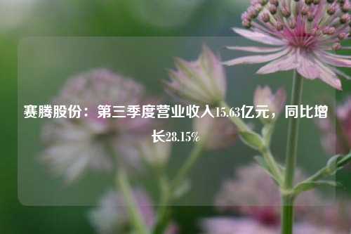 赛腾股份：第三季度营业收入15.63亿元，同比增长28.15%-第1张图片-兔尾说说网