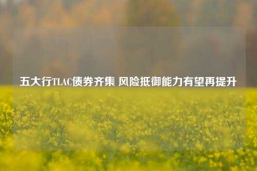 五大行TLAC债券齐集 风险抵御能力有望再提升-第1张图片-兔尾说说网