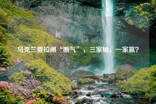 乌克兰要拉闸“断气”，三家输，一家赢？