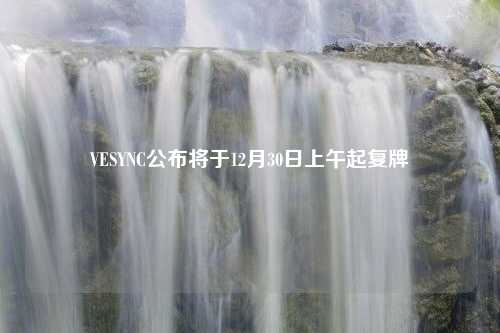 VESYNC公布将于12月30日上午起复牌