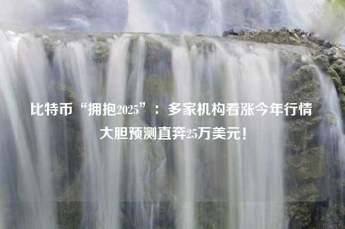 比特币“拥抱2025”：多家机构看涨今年行情 大胆预测直奔25万美元！