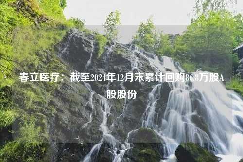 春立医疗：截至2024年12月末累计回购86.8万股A股股份