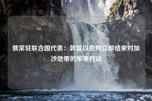 俄常驻联合国代表：敦促以色列立即结束对加沙地带的军事行动