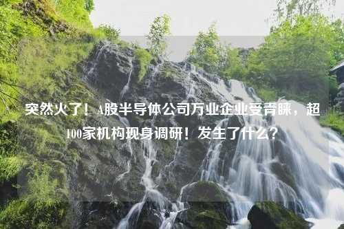 突然火了！A股半导体公司万业企业受青睐，超100家机构现身调研！发生了什么？